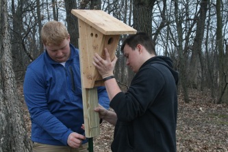 Patrick Donohue, left, and Jonathon Wallace, students at Marquette University High School, Milwaukee, install a wooden nest box for bluebirds on the grounds of the Schoenstatt Retreat Center, Waukesha, in late spring.