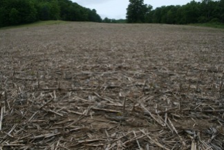 Site of prairie planting before it was seeded