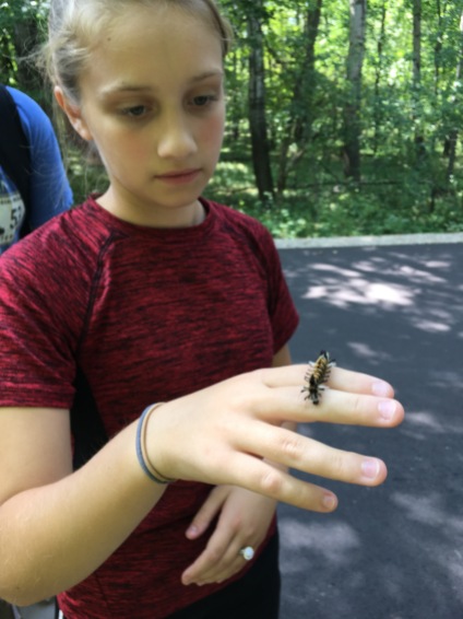 Laudato Si' Project guided hike with Chesterton Academy: Connecting Faith and Care for Creation