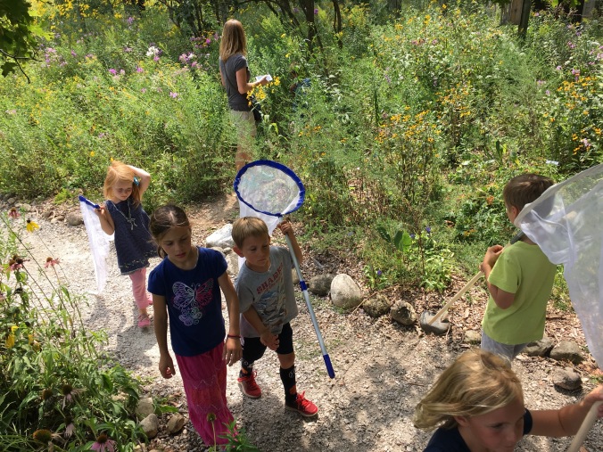 Laudato Si' Project's "Bug Hike"