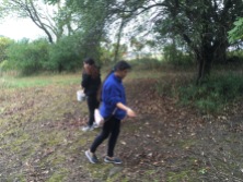 Cristo Rey High School students helping seed the prairie