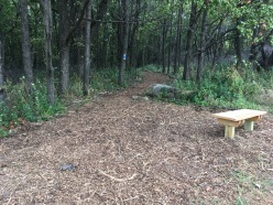 The woodland nature trail