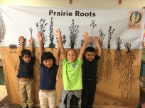 Learning about amazing prairie roots