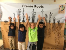 Learning about amazing prairie roots