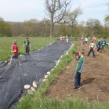 Using a tarp to prepare a site for native plants