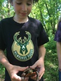 Holding a Painted Turtle