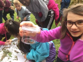 Catching insects as part of family retreat weekend